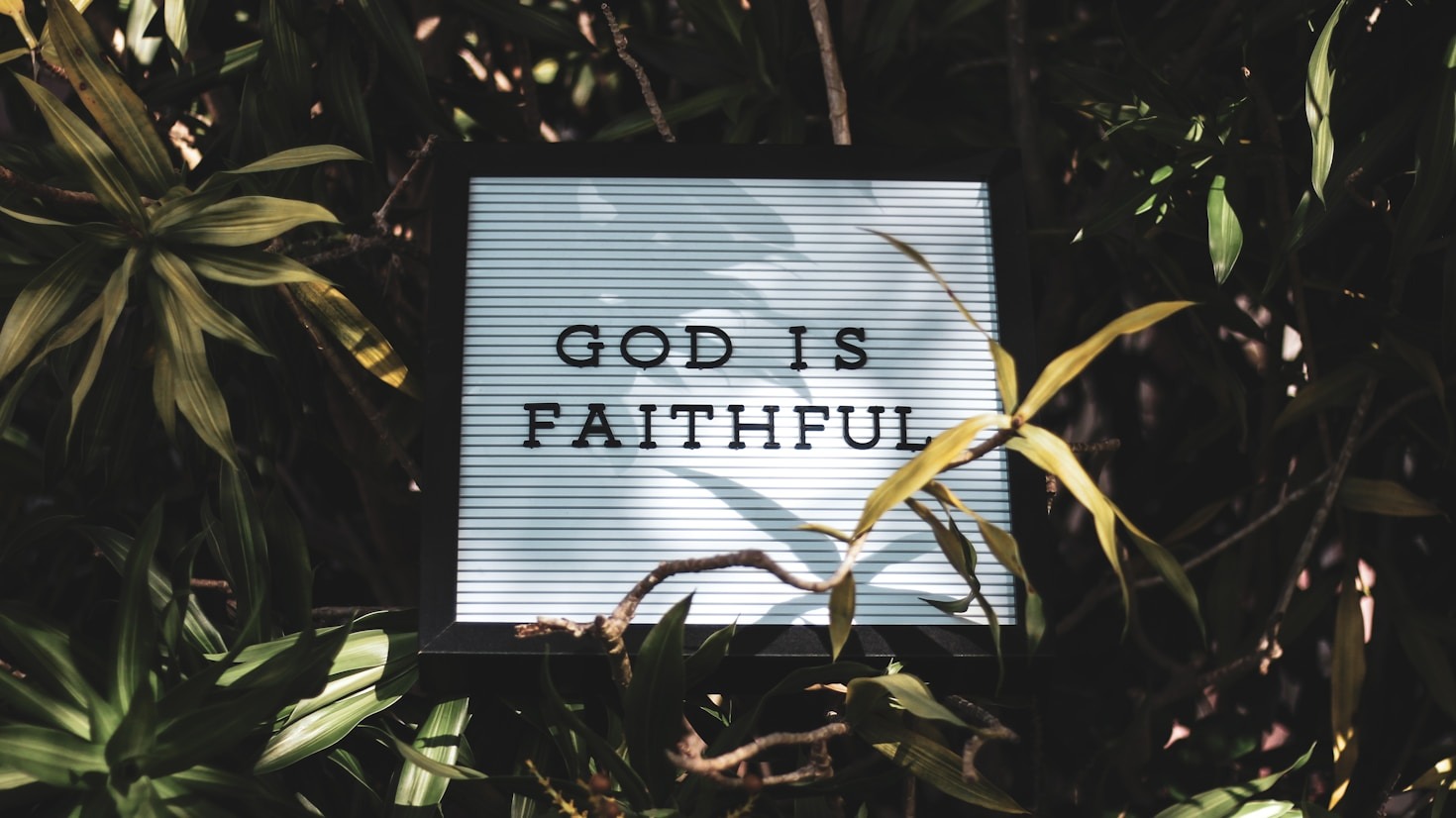 5 Ways Poetry Enhances Spiritual Reflection